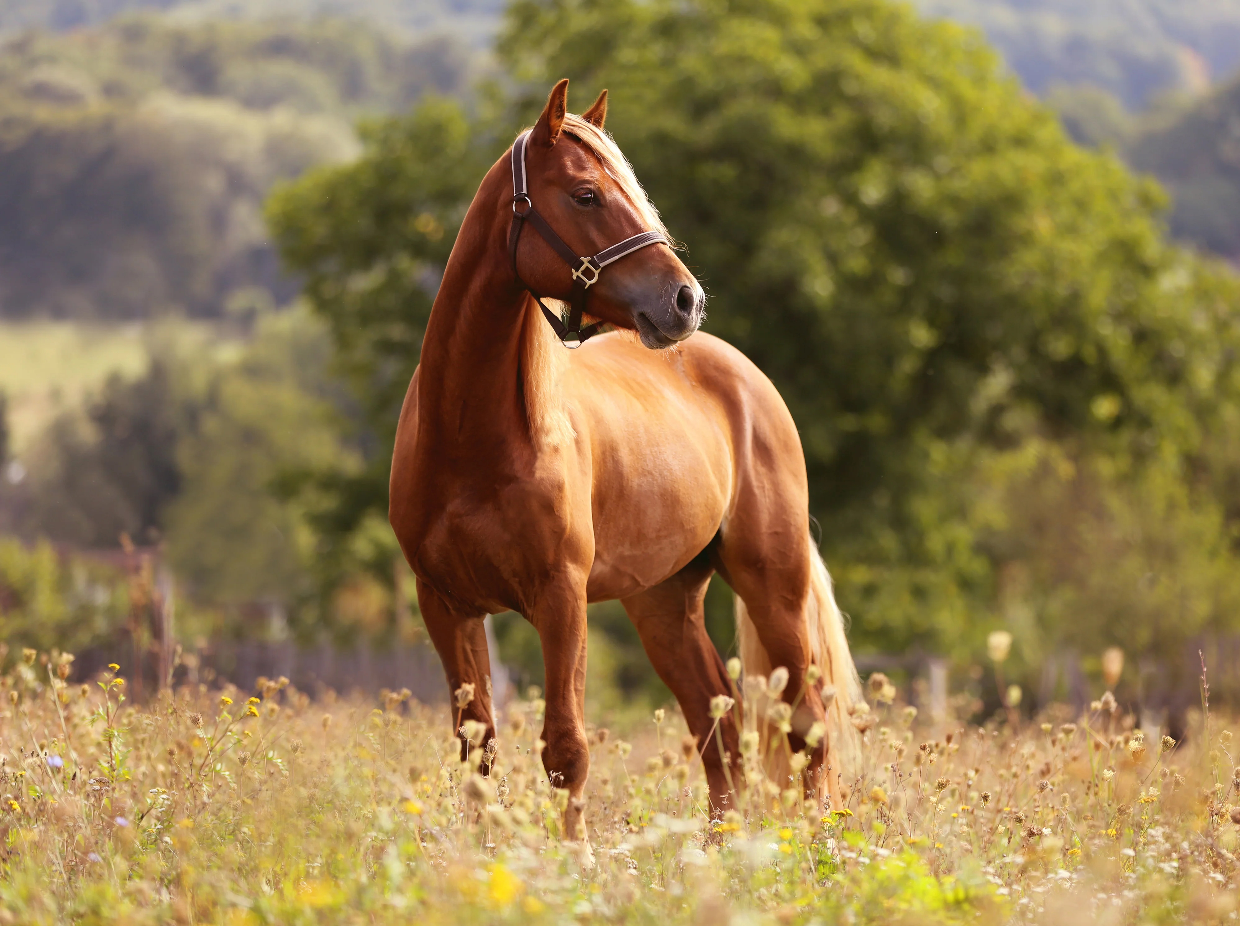 3899fdf9-d991-4e73-abbb-a6b91893377b